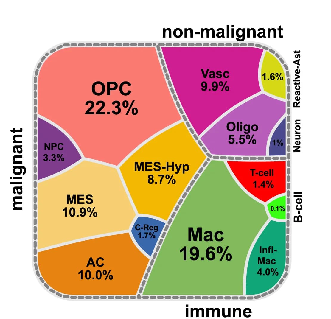 Open access visualization of Treemap, Voronoi Diagram, Cell Type, Cell State, Abundance