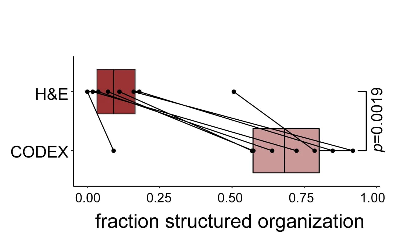 Open access visualization of Box Plot, Scatter Plot, Line Plot, Structured Regions, H&E Staining