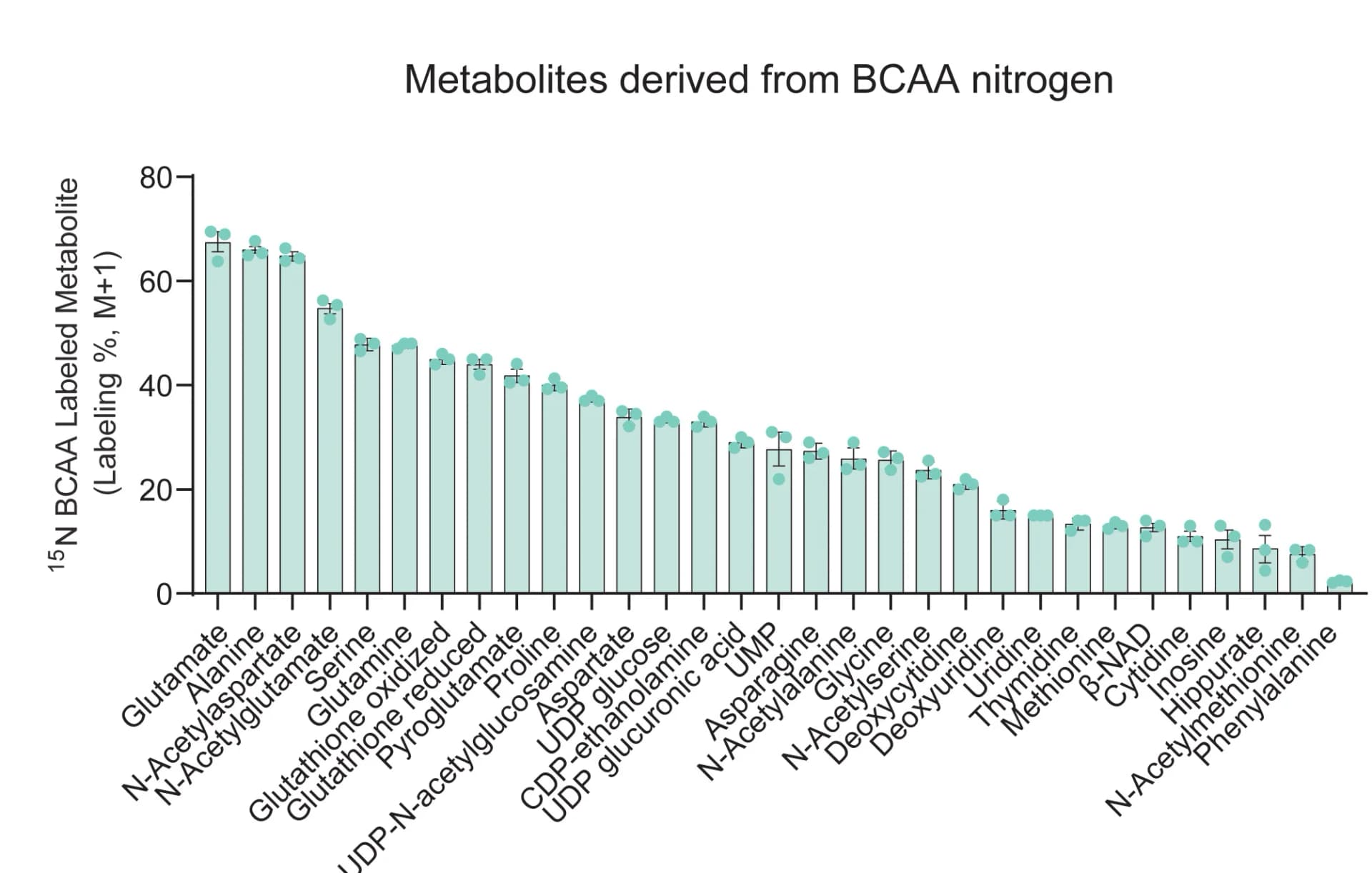 Open access visualization of Bar Plot, Error Bars, Cellular 15N-Metabolites, Transamination, 15N-BCAA