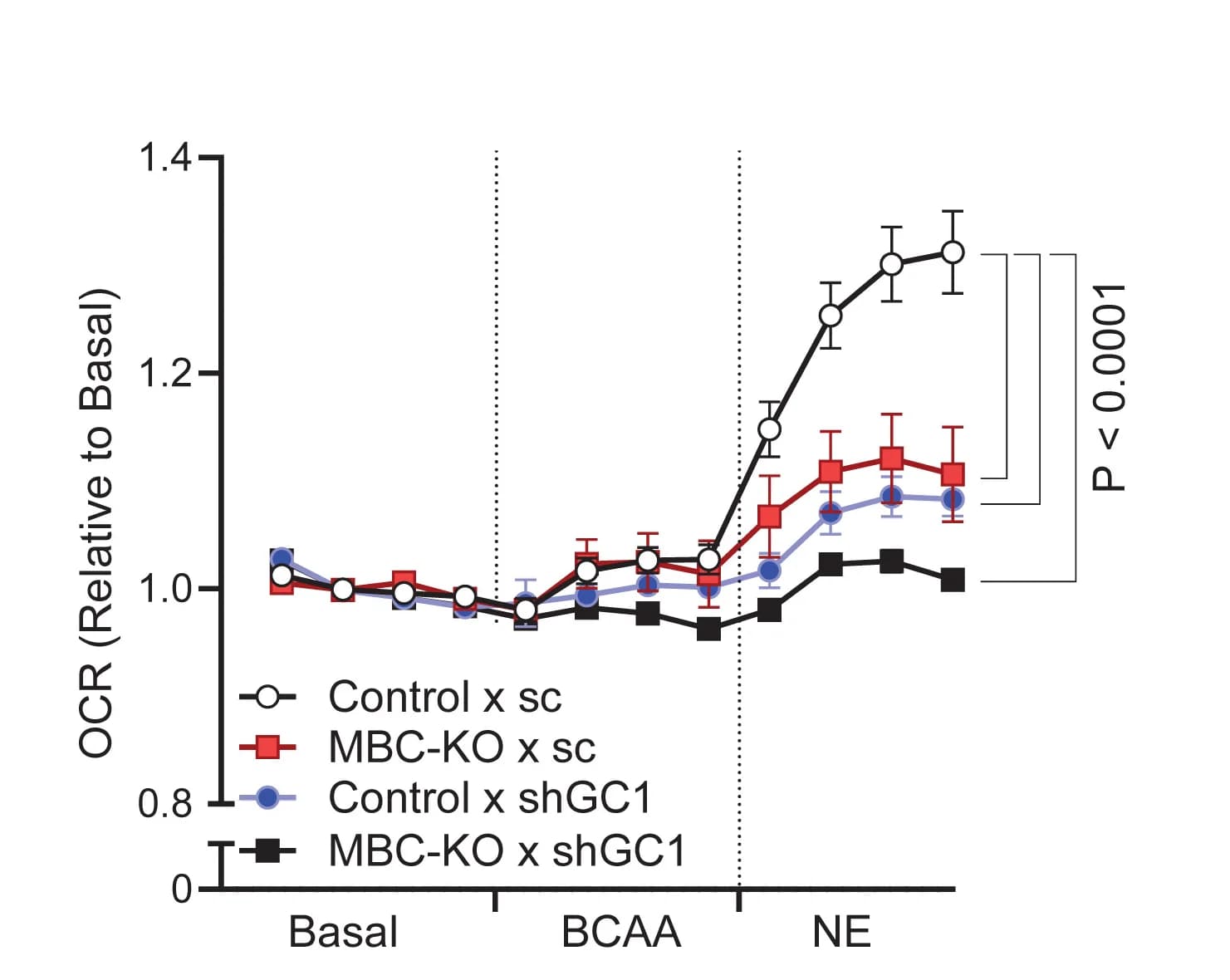 Open access visualization of Line Plot, Error Bars, OCR, Differentiated Brown Adipocytes, BCAA