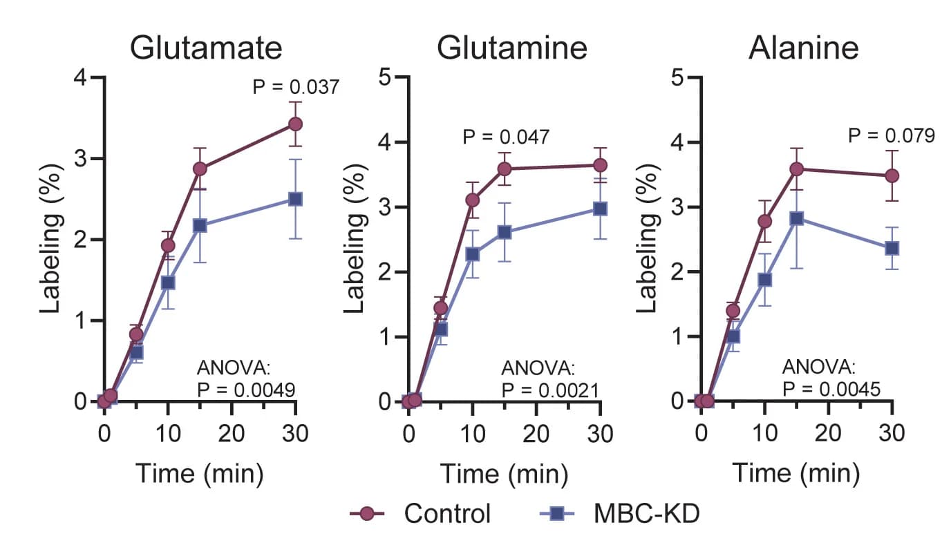 Open access visualization of Line Plot, Error Bars, 15N-BCAA, Glu, Gln