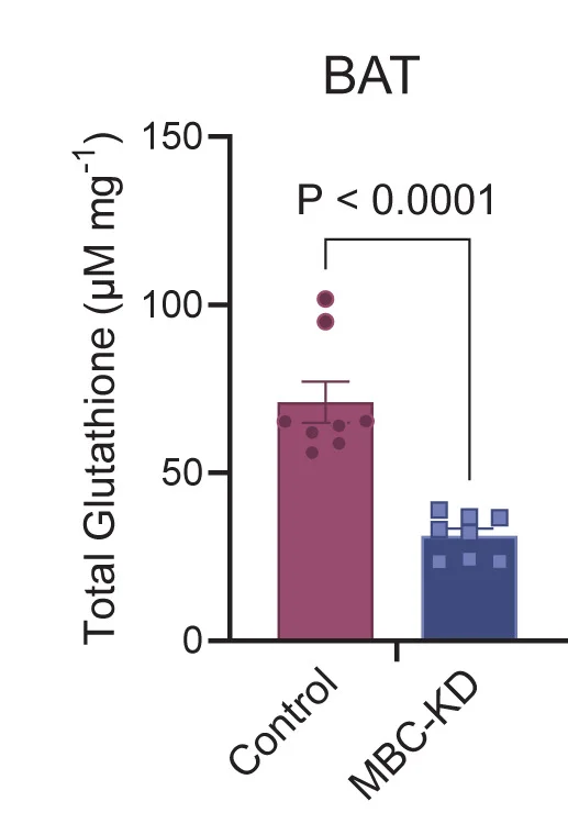 Open access visualization of Bar Plot, Error Bars, Total Glutathione, Reduced Glutathione, Oxidized Glutathione