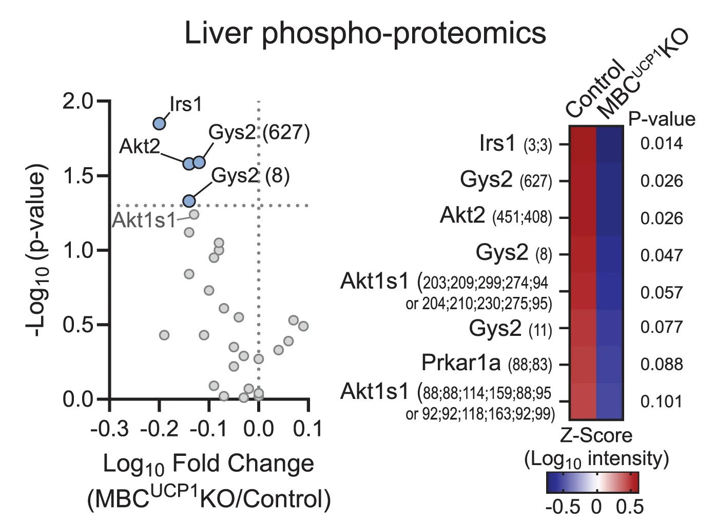 Open access visualization of Volcano Plot, Heatmap, Phospho-Proteomic Analysis, In Vivo, Insulin Stimulation