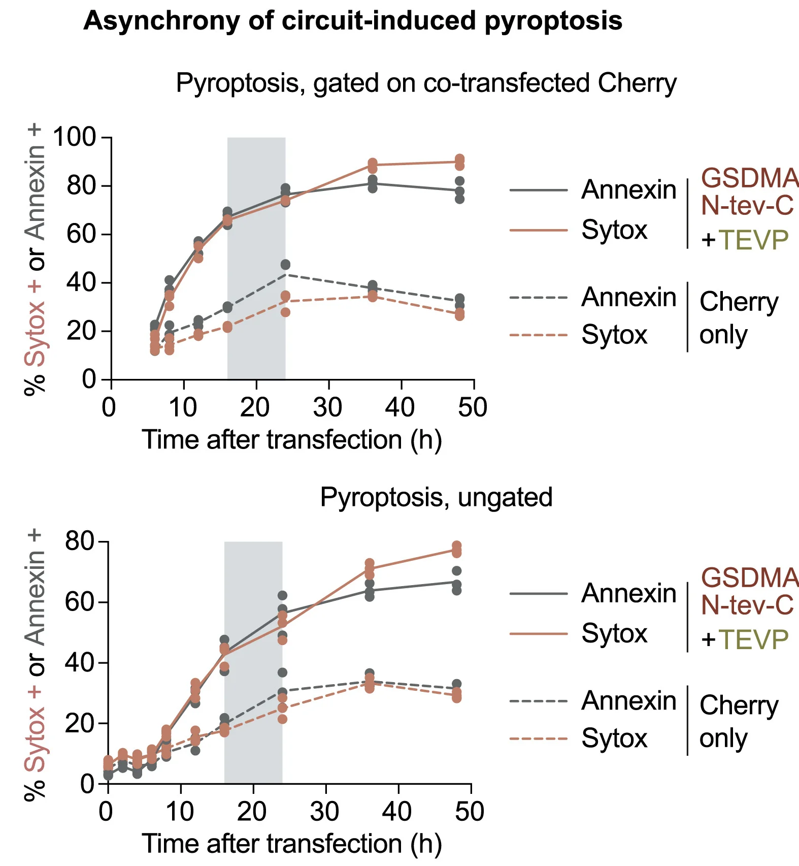 Open access visualization of Line Plot, Scatter Plot, TEVP-activated GSDMA Circuits, Pyroptosis
