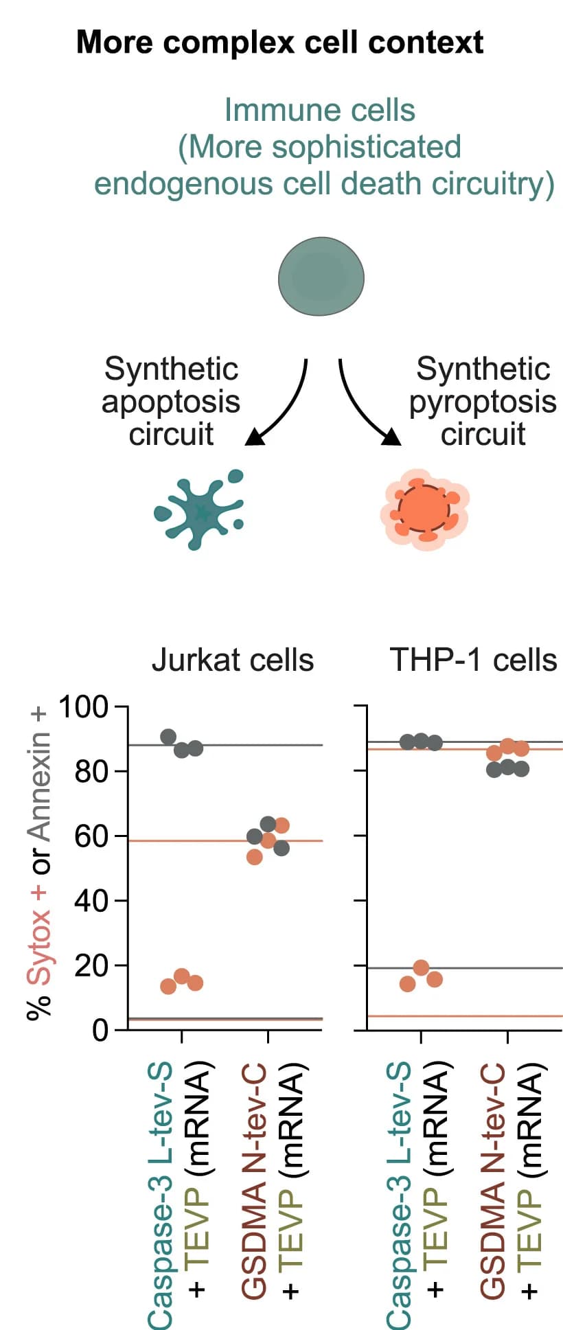 Open access visualization of Scatter Plot, Illustration, mRNA, Synpoptosis, Apoptosis