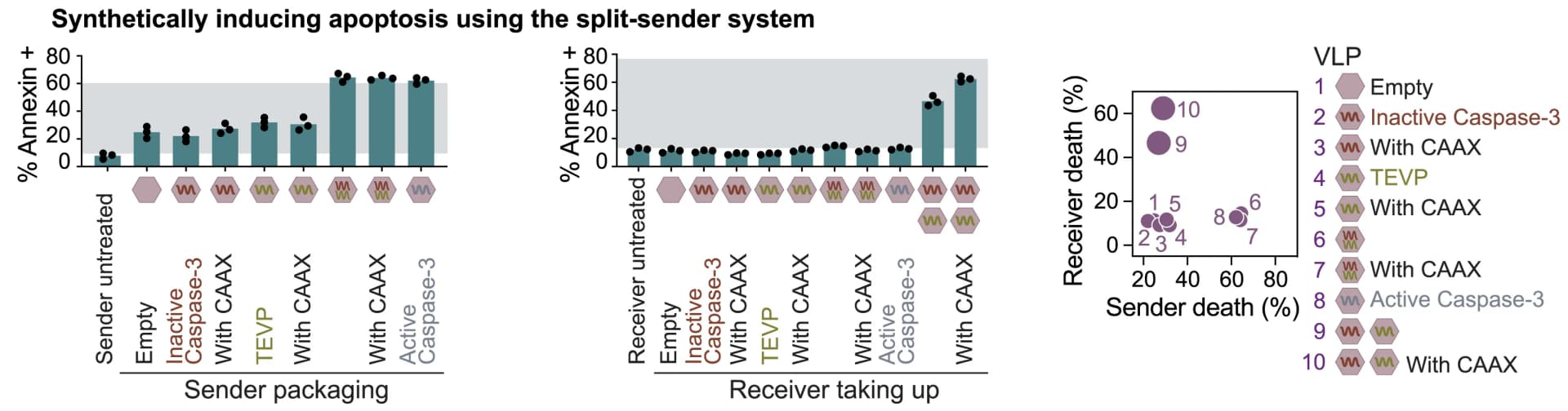 Open access visualization of Bar Plot, Scatter Plot, Bubble Plot, Split-Sender System, Virus-Like Particles