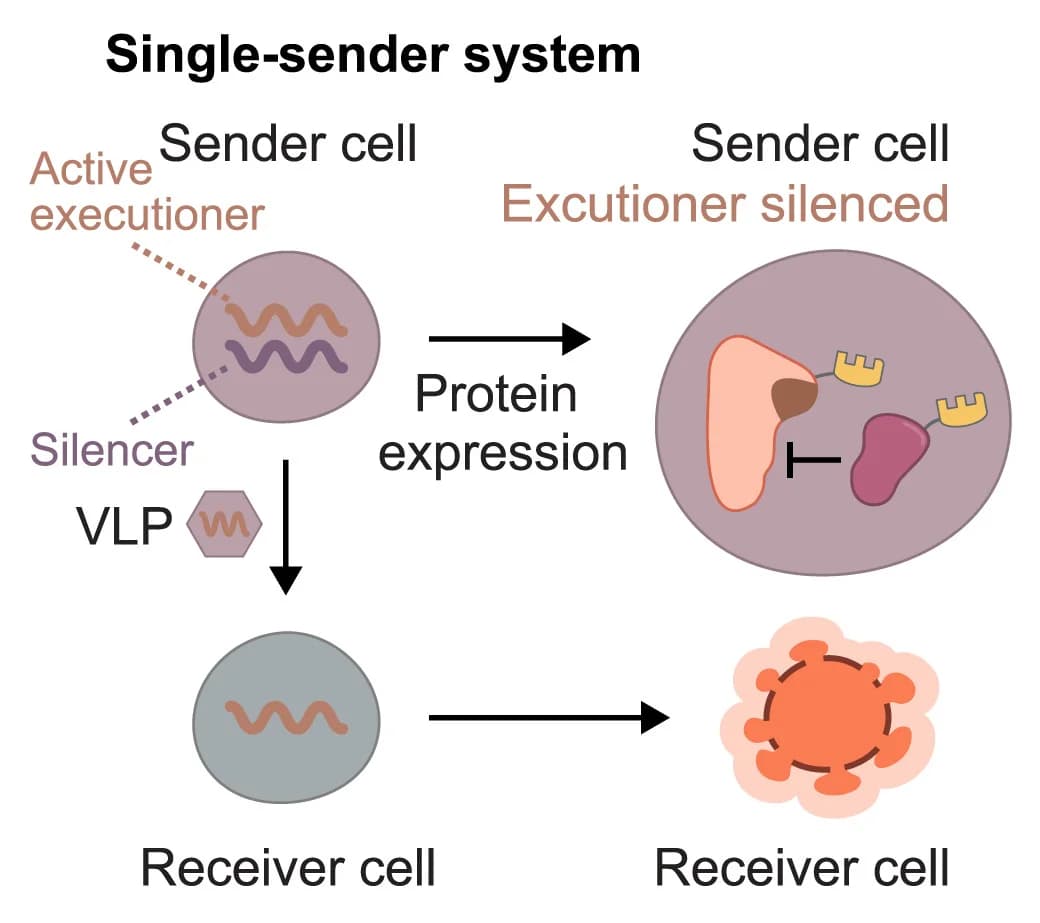 Open access visualization of Workflow, Illustration, Single-Sender System, Executioner, Silencing