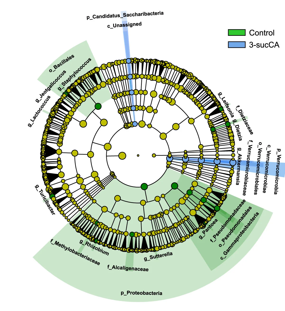 Open access visualization of Network, Pathway, Mice, Fecal Samples, 16S rRNA Gene Sequencing