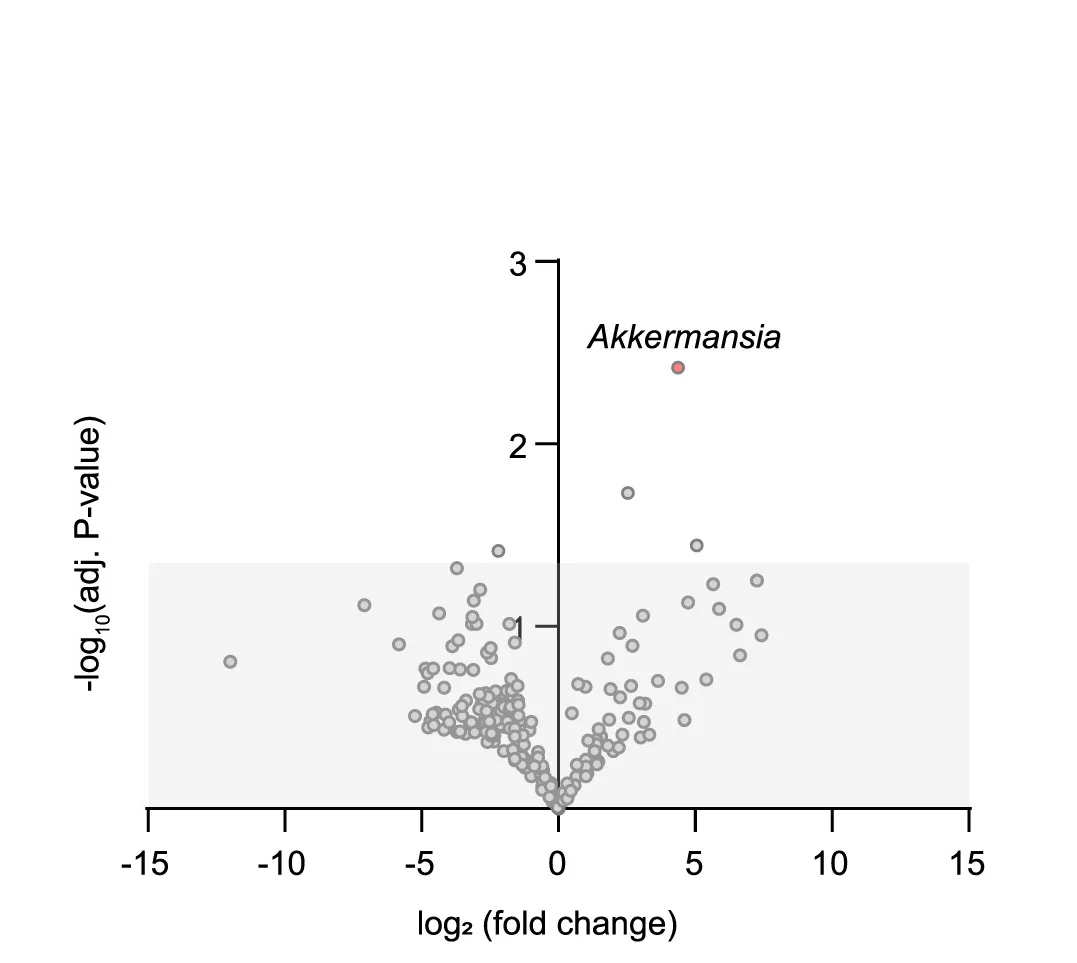 Open access visualization of Volcano Plot, Scatter Plot, 16S rRNA Gene Sequencing, Student’s T Test, Benjamini-Hochberg Correction