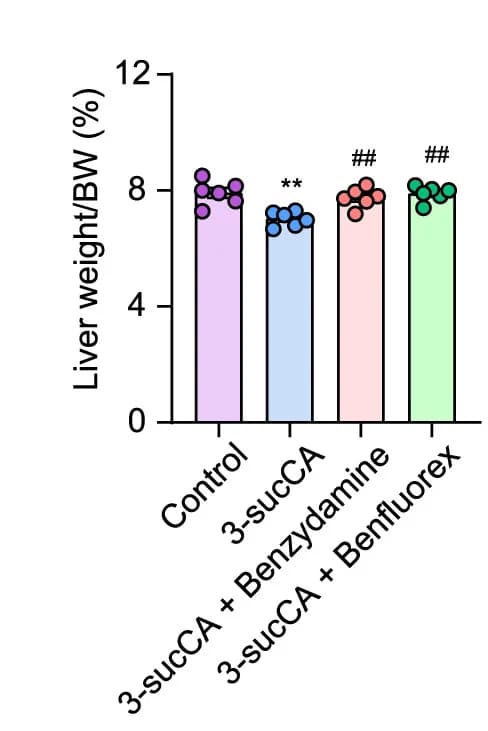 Open access visualization of Bar Plot, Scatter Plot, Liver Mass, Body Mass, Ratios