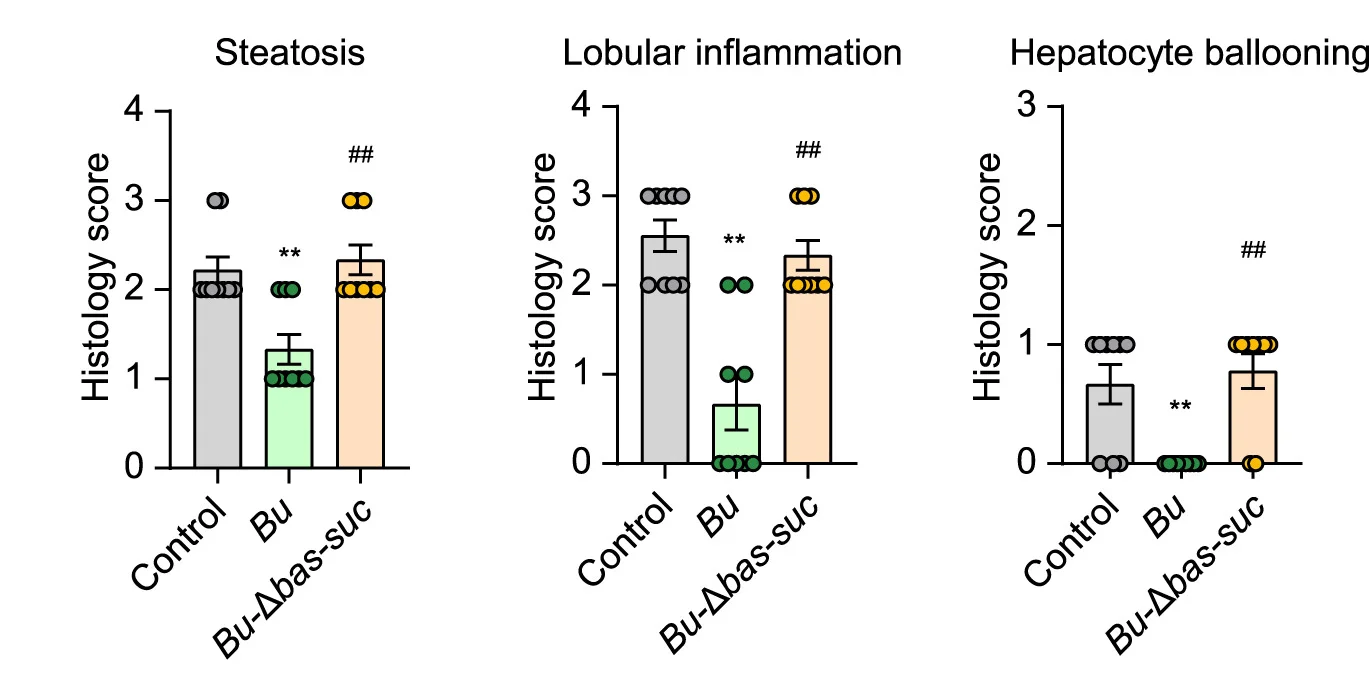 Open access visualization of Bar Plot, Error Bars, Scatter Plot, Histology Scores, Steatosis