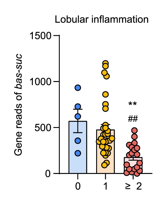 Open access visualization of Bar Plot, Scatter Plot, Error Bars, Gene Reads, Bas-suc