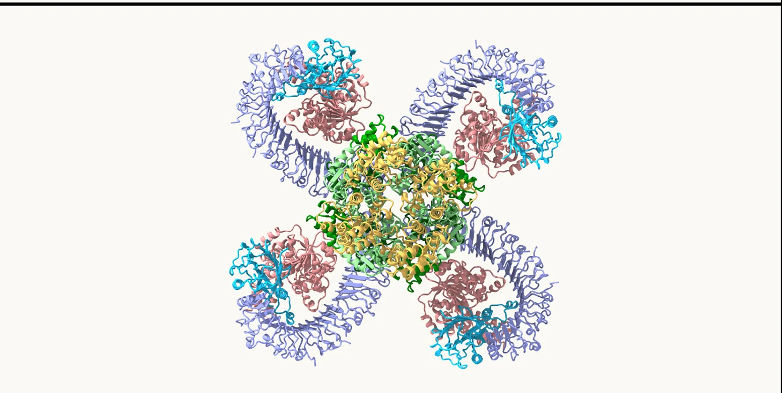 Open access visualization of Protein Structure, ROQ1, XopQ, N-Terminal Domain, CC Domain