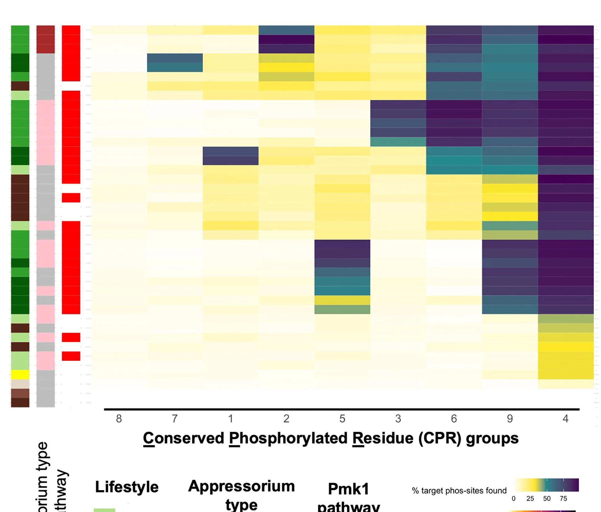Open access visualization of Heatmap, Bar Plot, Conserved Phosphorylated Residues, Fungal Species, K-means Clustering