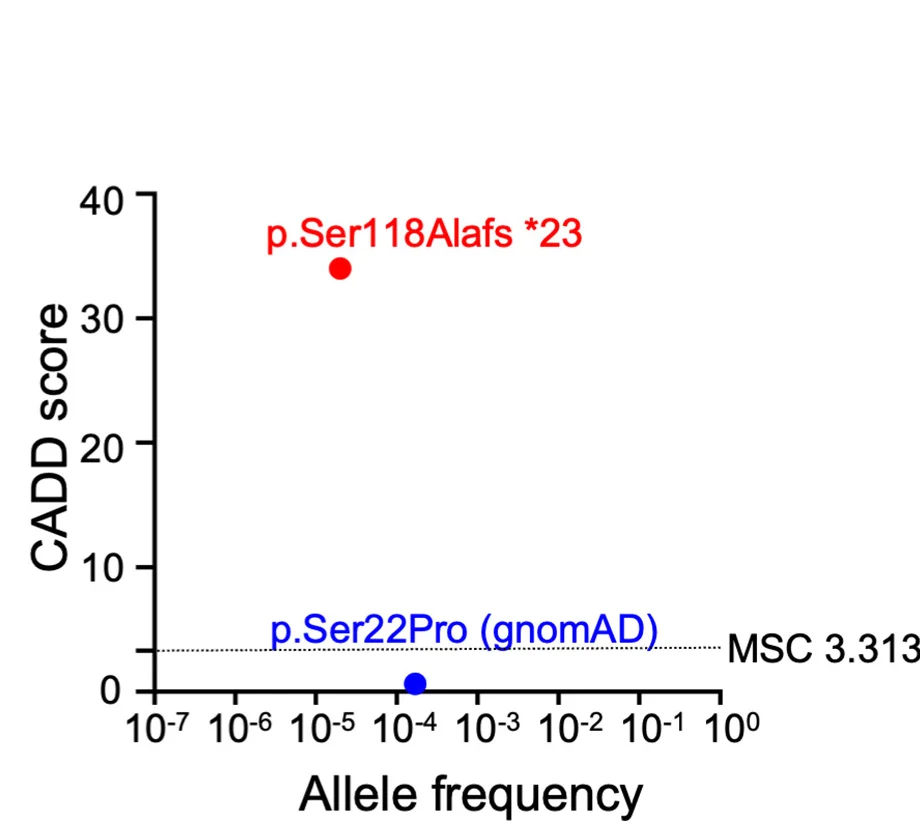 Open access visualization of Scatter Plot, Allele Frequency, CADD Score, FLT3LG Variant, Homozygous State