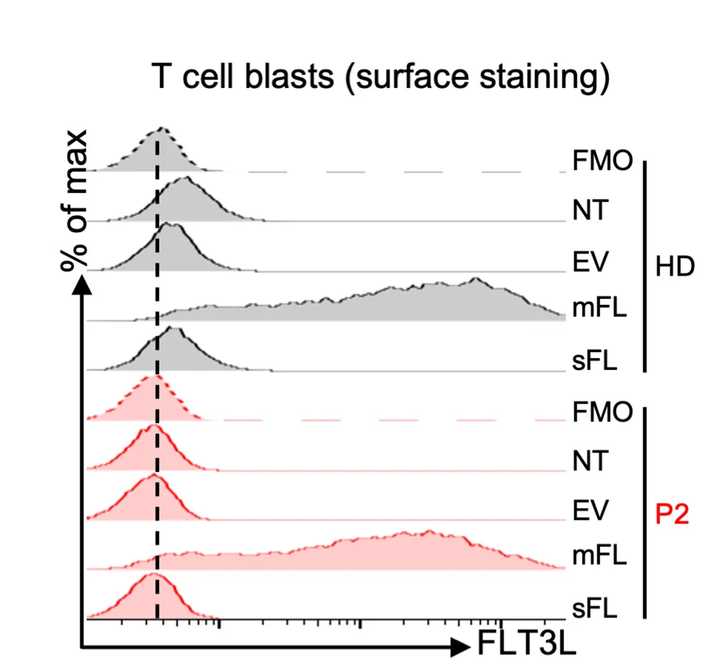 Open access visualization of Density Plot, T Cell Blasts, Lentiviruses, Cell Surface FLT3L Expression, Flow Cytometry