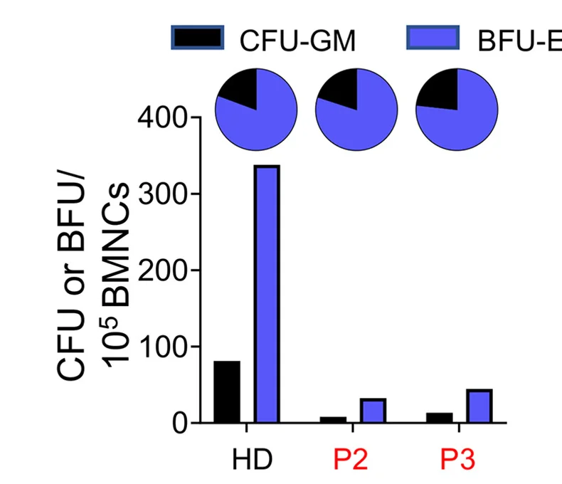 Open access visualization of Bar Plot, Pie Chart, Hematopoietic Progenitors, CFU, BFU