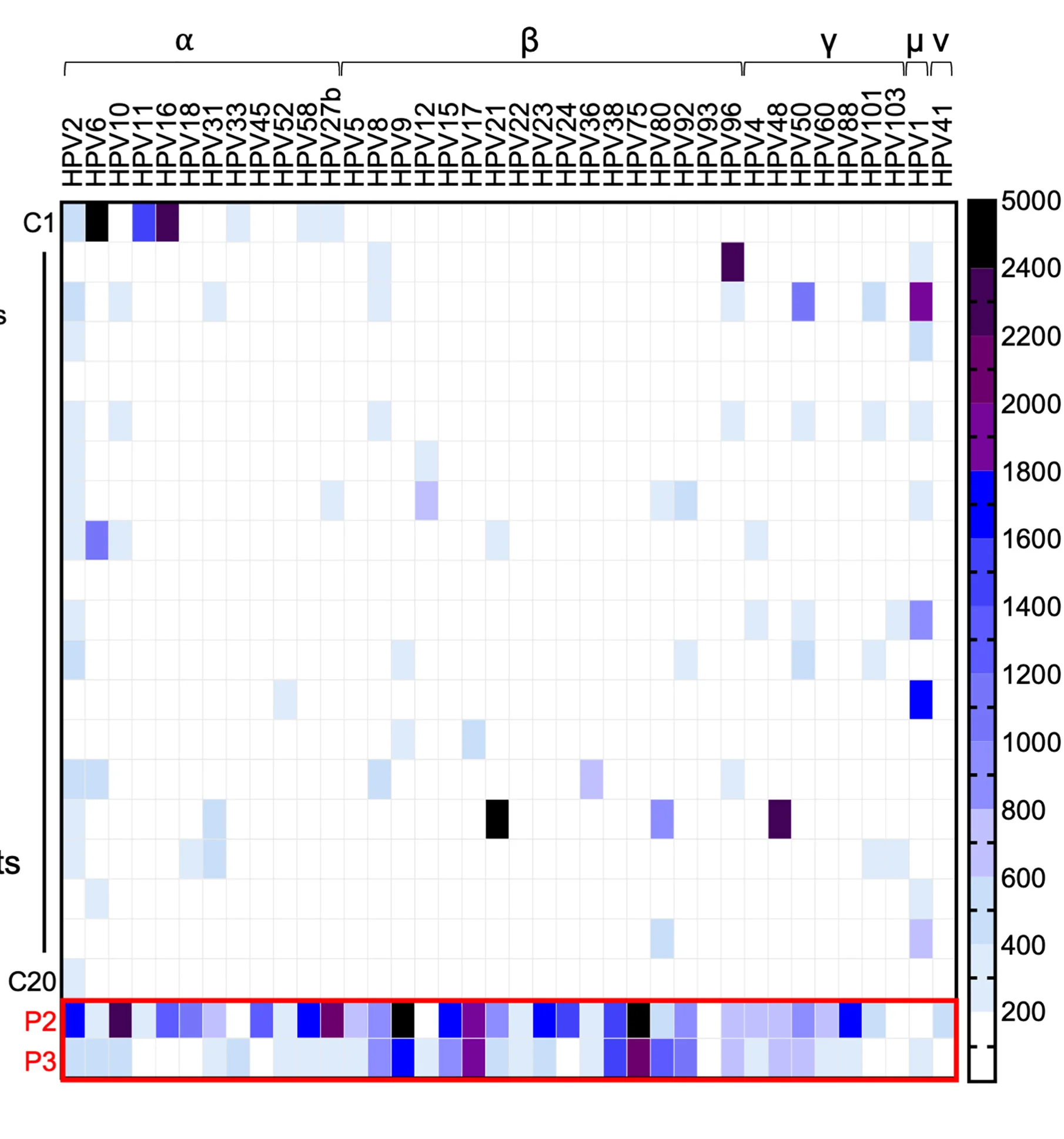 Open access visualization of Heatmap, Antibody Reactivity, HPV Types, Luminex Assay, Plasma Samples