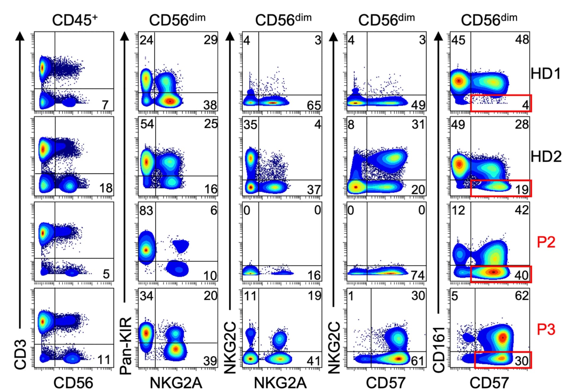 Open access visualization of Scatter Plot, CD56dim NK Cells, Adaptive NK Cells, NKG2C, CD161