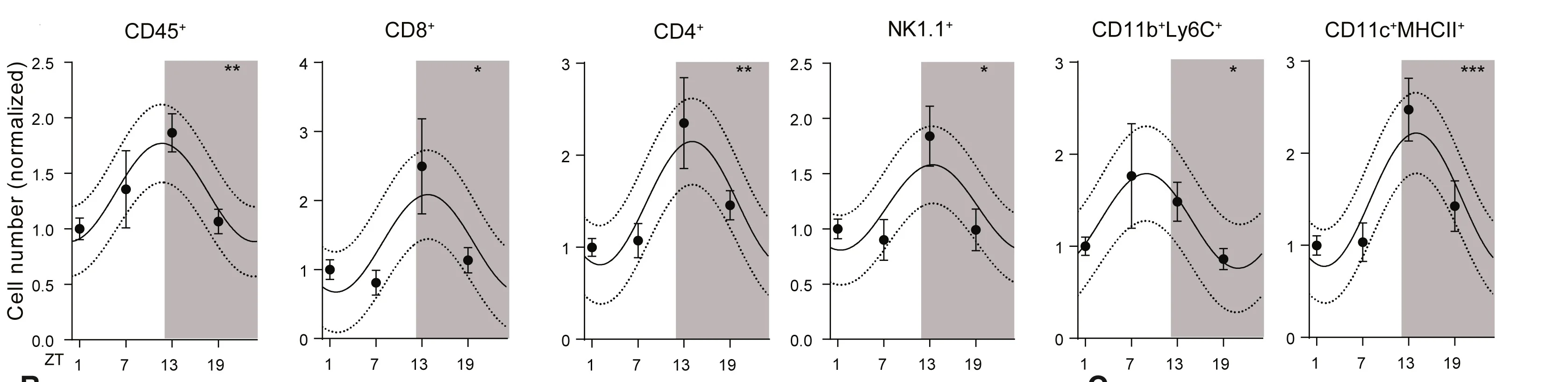 Open access visualization of Line Plot, Error Bars, Tumor-Infiltrating Leukocytes, B16-F10-OVA Tumor, Zeitgeber Time