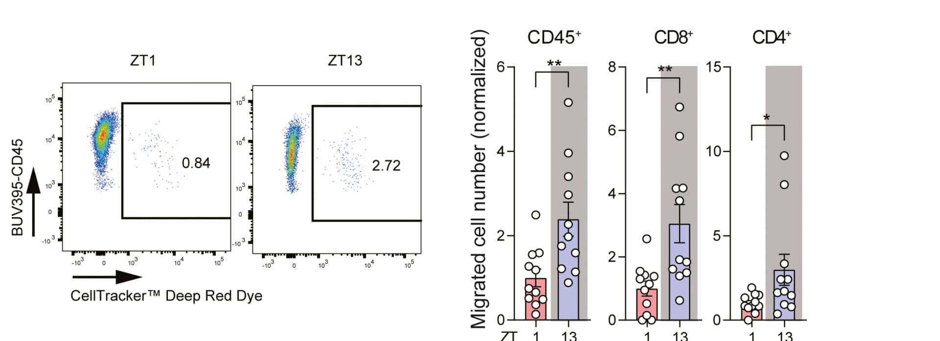 Open access visualization of Scatter Plot, Bar Plot, Error Bars, Adoptively Transferred Cells, B16-F10-OVA Tumors