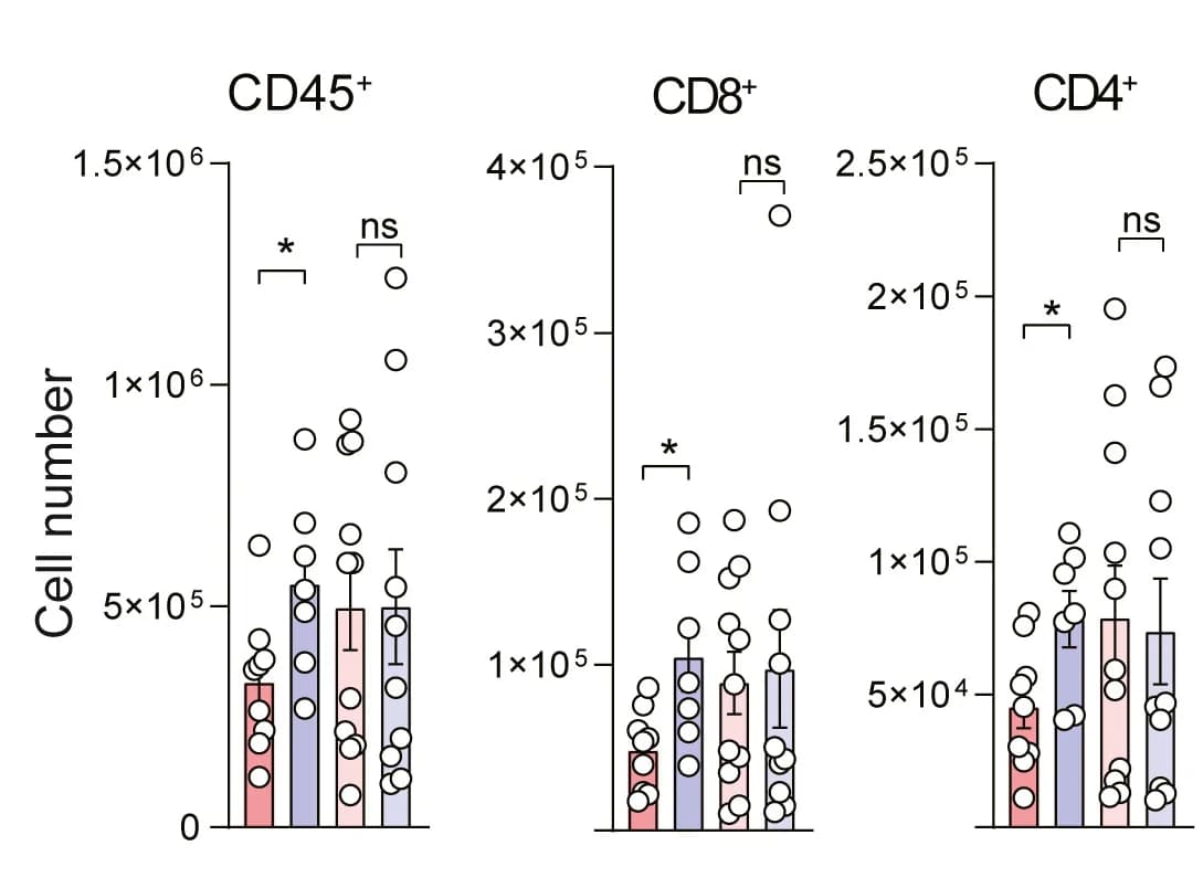 Open access visualization of Bar Plot, Error Bars, Scatter Plot, Leukocytes, B16-F10-OVA Tumors