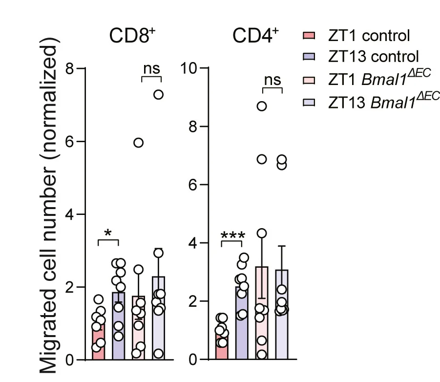 Open access visualization of Bar Plot, Error Bars, Clustered, Scatter Plot, Adoptively Transferred Leukocytes
