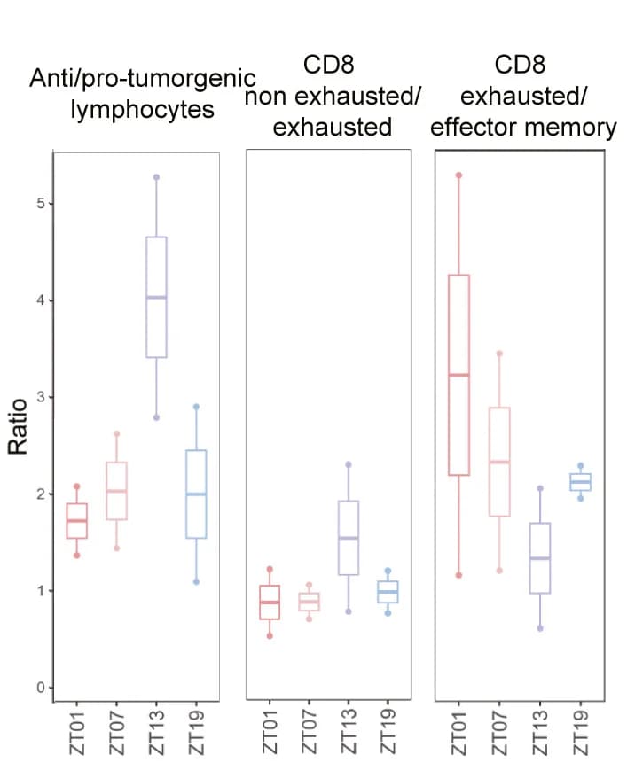 Open access visualization of Box Plot, Abundance Ratio, T Cell Subsets, scRNA-seq, Anti-Tumorigenic Lymphocytes