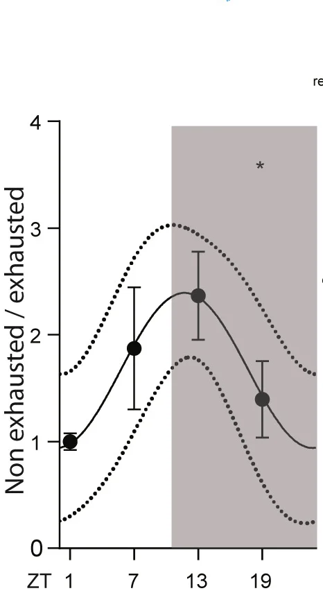 Open access visualization of Line Plot, Error Bars, Normalized Ratio, CD8+ T Cells, Flow Cytometry