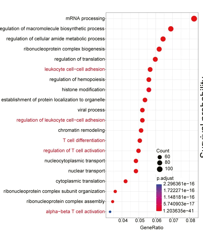 Open access visualization of Scatter Plot, Bubble Plot, Volcano Plot, Gene Ontology Analysis, CD8+ T Cells