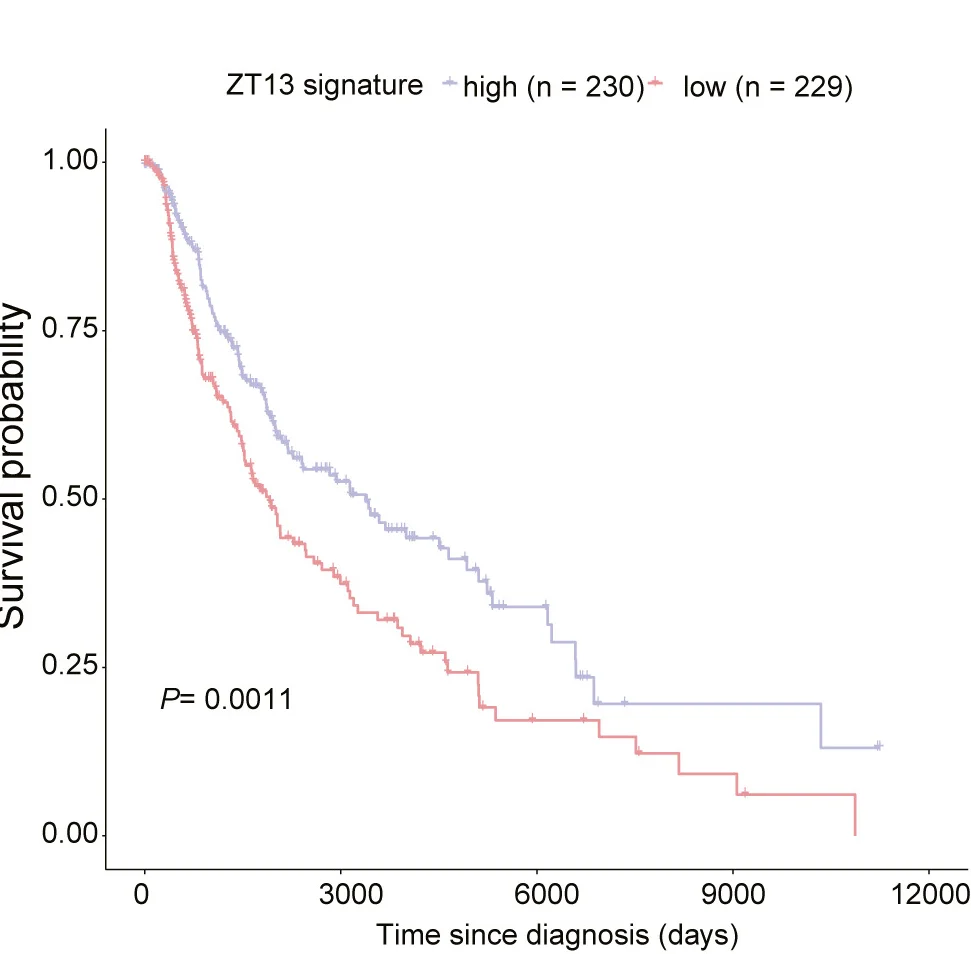 Open access visualization of Survival Curve, Line Step, Survival Analysis, Melanoma Patients, TCGA Dataset