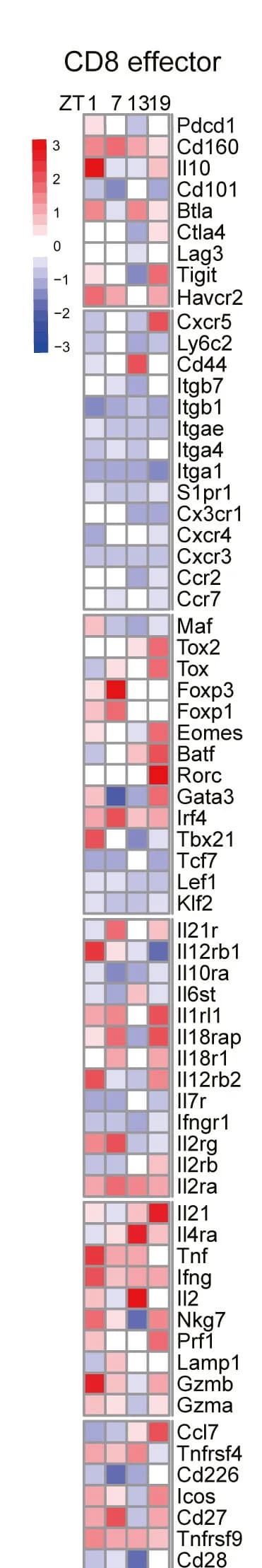 Open access visualization of Heatmap, scRNA-seq, CD8+ Effector T Cells