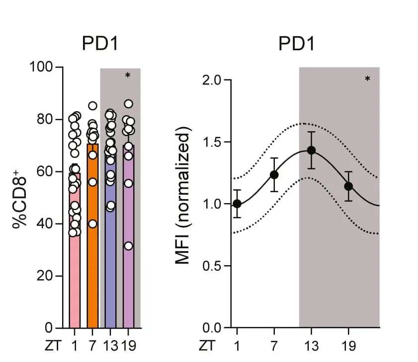 Open access visualization of Bar Plot, Scatter Plot, Line Plot, Error Bars, PD-1