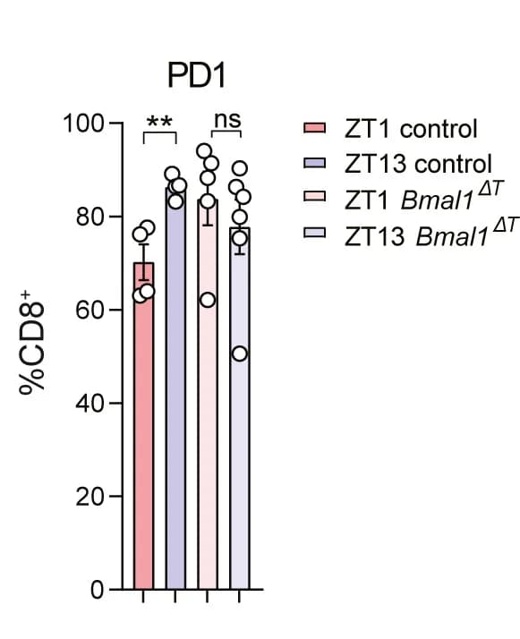 Open access visualization of Bar Plot, Error Bars, PD-1, Flow Cytometry, Tumor CD8+ T Cells