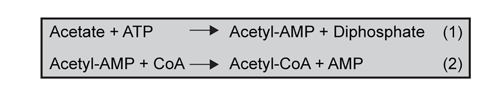 Open access visualization of Workflow, Flowchart, Illustration, Acs1, Acetate