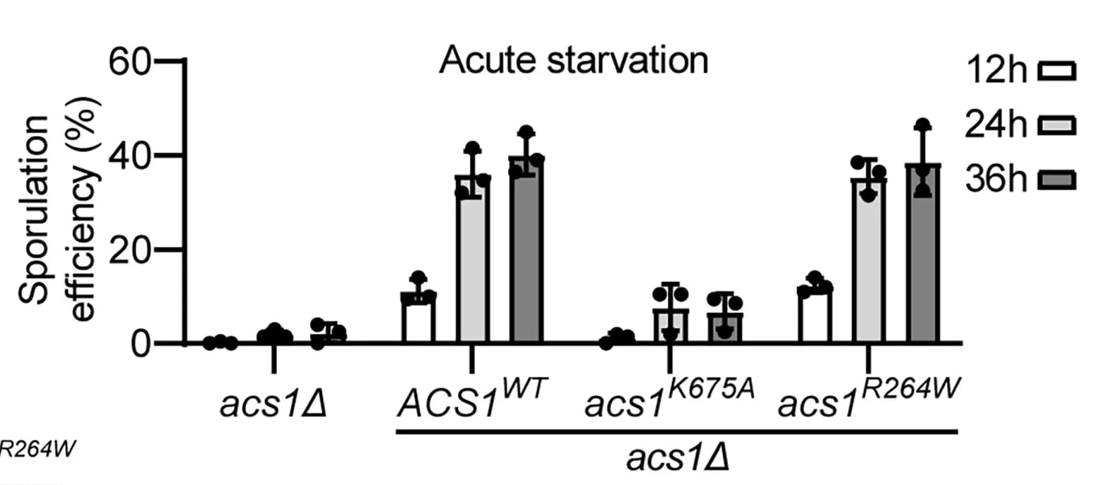 Open access visualization of Bar Plot, Error Bars, Clustered, Yeast Strains, Genotypes