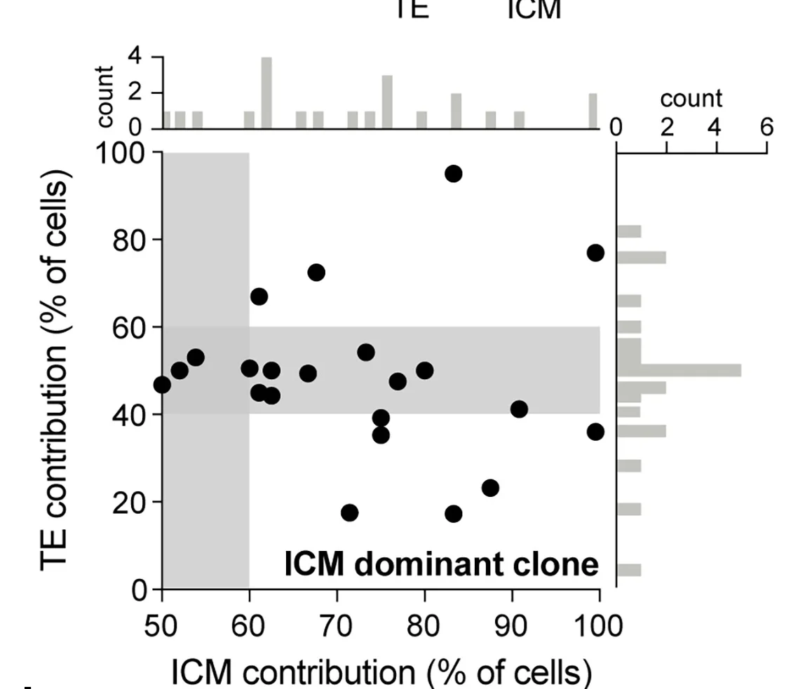 Open access visualization of Scatter Plot, Histogram, ICM-Dominant Cells, ICM, TE