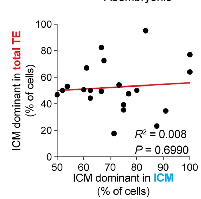 Open access visualization of Scatter Plot, Regression Plot, Inner Cell Mass, Trophectoderm, Statistical Analysis