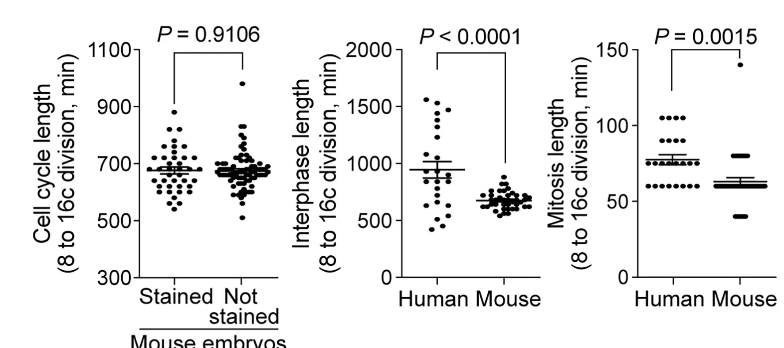 Open access visualization of Scatter Plot, Error Bars, Cell-cycle Length, Mouse Embryos, SPY555-DNA