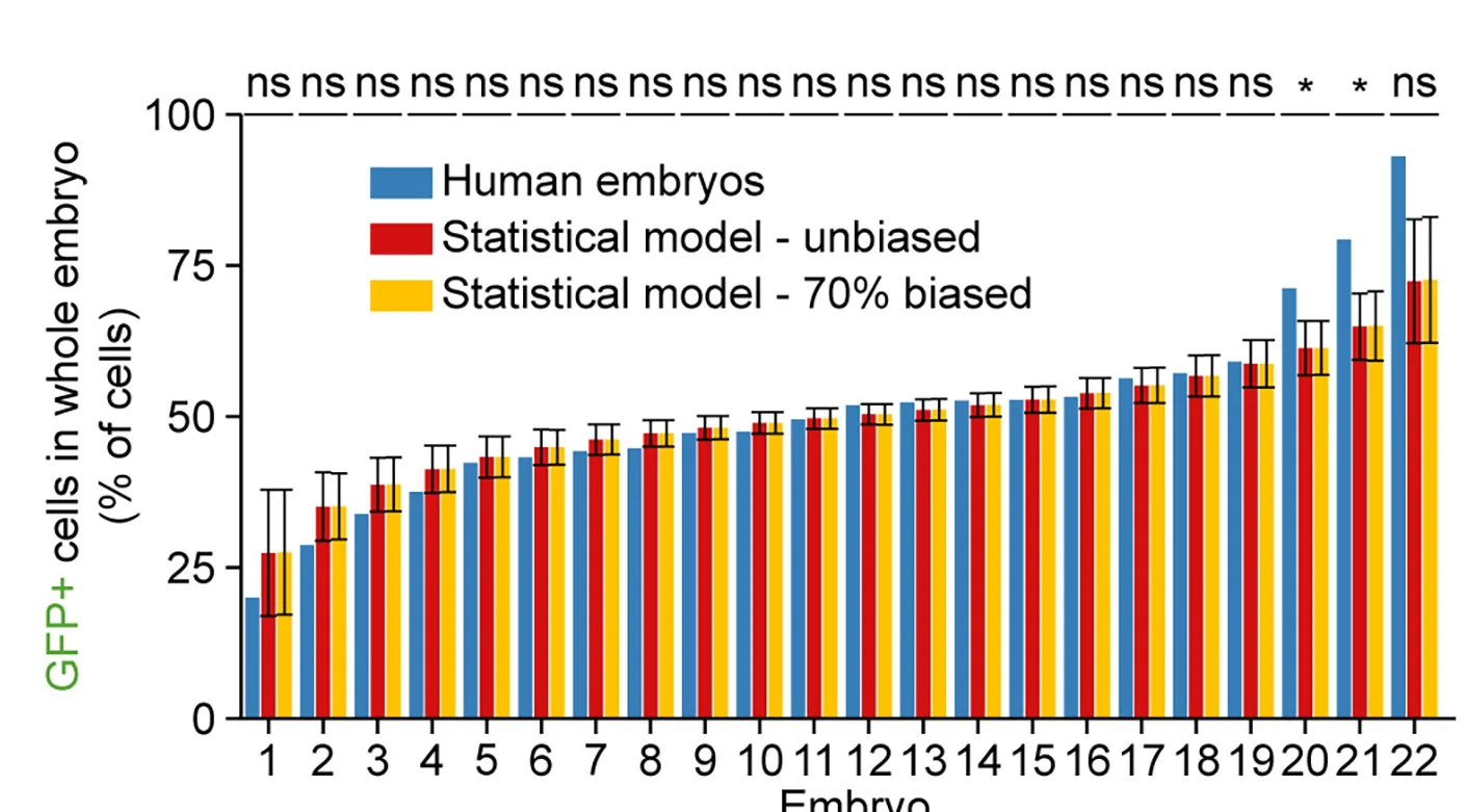 Open access visualization of Bar Plot, Clustered, Error Bars, Distributions, GFP+ Cells