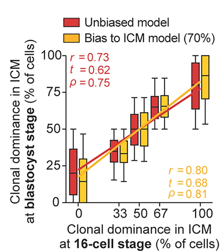 Open access visualization of Box Plot, Line Plot, Clonal Dominance, ICM, Blastocyst Stages