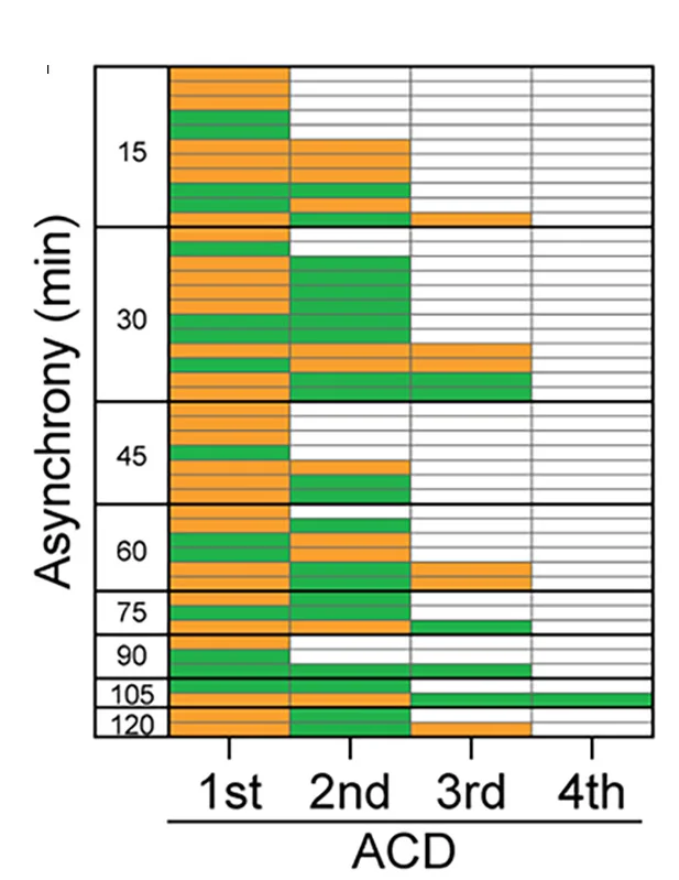 Open access visualization of Stacked Bar Plot, Asymmetric Cell Division, Cell Division, Clone