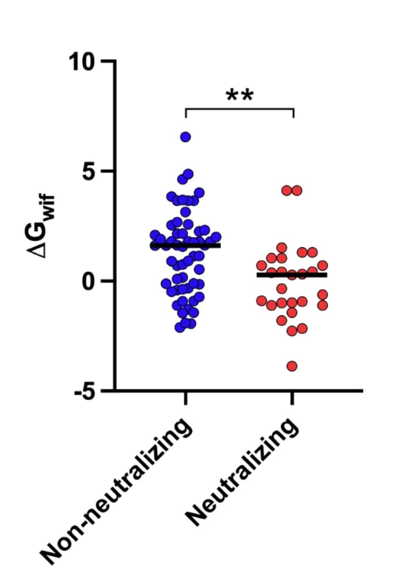 Open access visualization of Scatter Plot, Lipid Insertion, Propensity Scores, ΔGwif, HCDR1