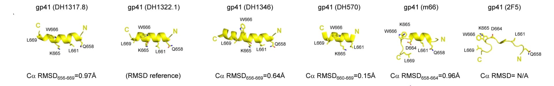 Open access visualization of Protein Structure, Antibody, MPER, Conformations, Epitope