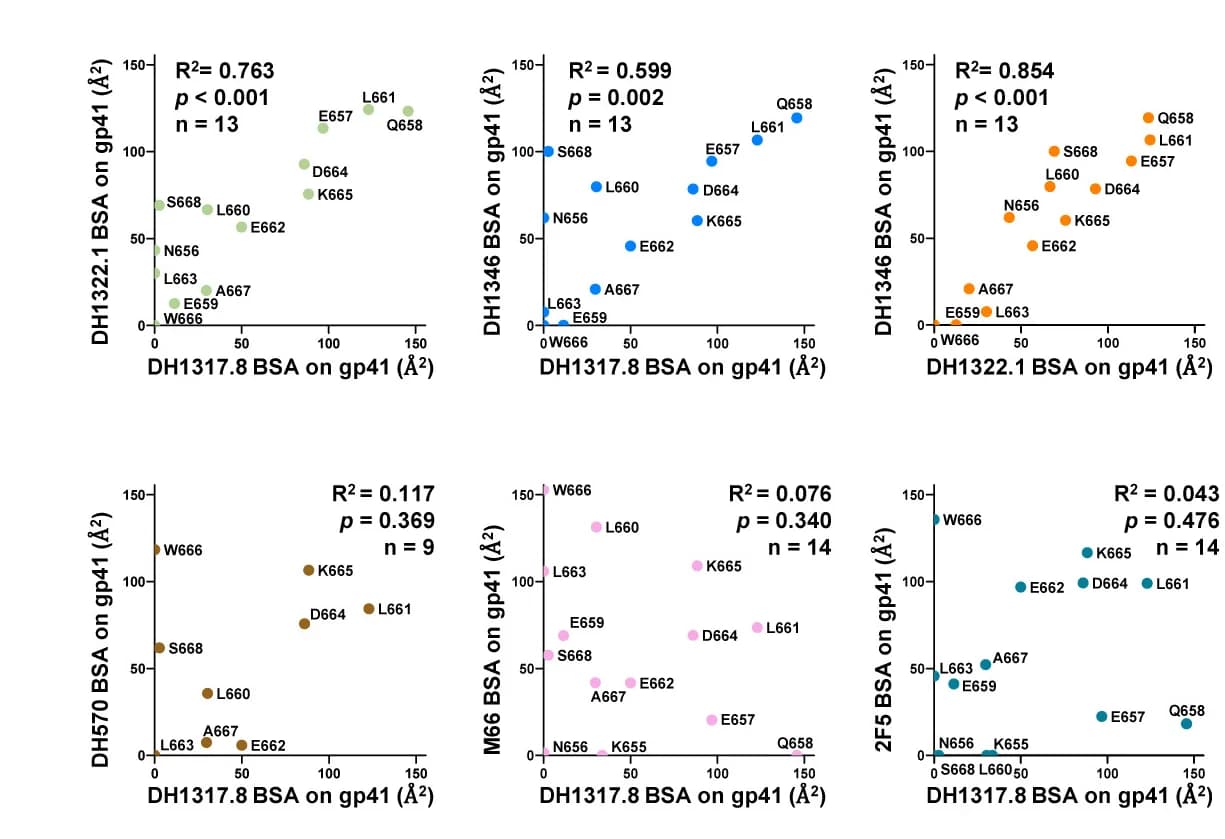 Open access visualization of Scatter Plot, Correlation Analysis, BSA, MPER, Interface Residues