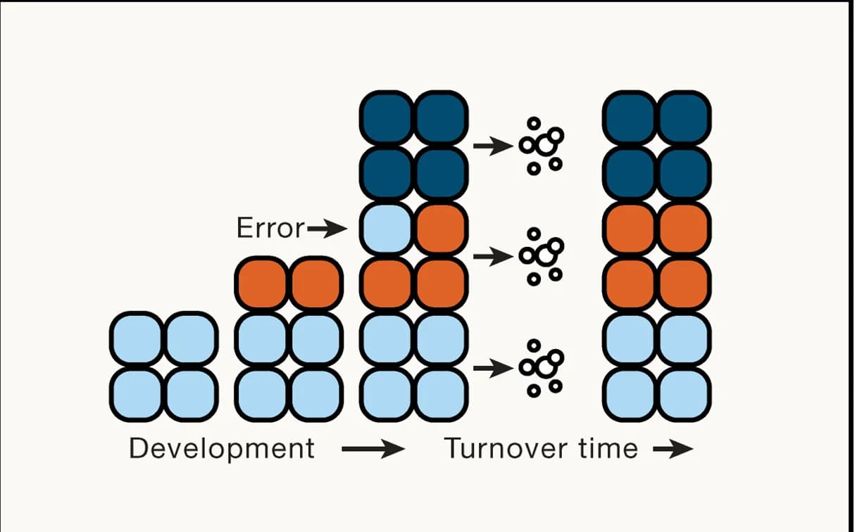 Open access visualization of Illustration, Workflow, Developmental Errors, Cell Type Identity, Cell Type Abundance