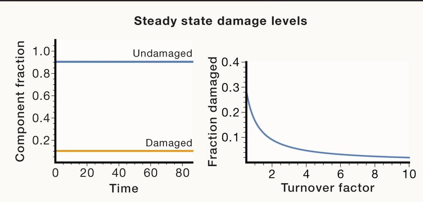Open access visualization of Line Plot, Constitutive Damage, Turnover System, Damaged Components, Steady State
