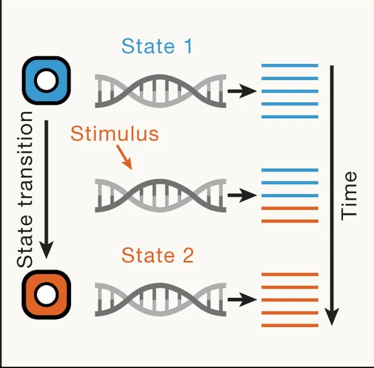 Open access visualization of Workflow, Illustration, State Transition, Turnover, Unwanted Components