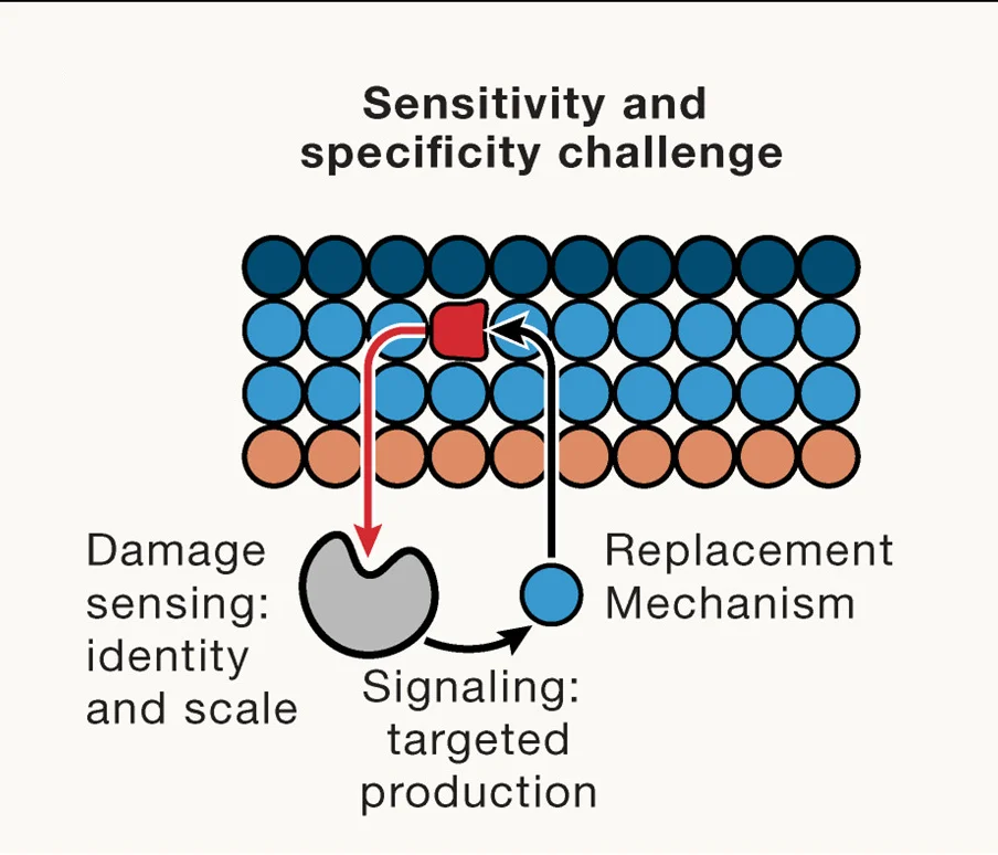 Open access visualization of Workflow, Illustration, Surveillance, Repair, Error Detection