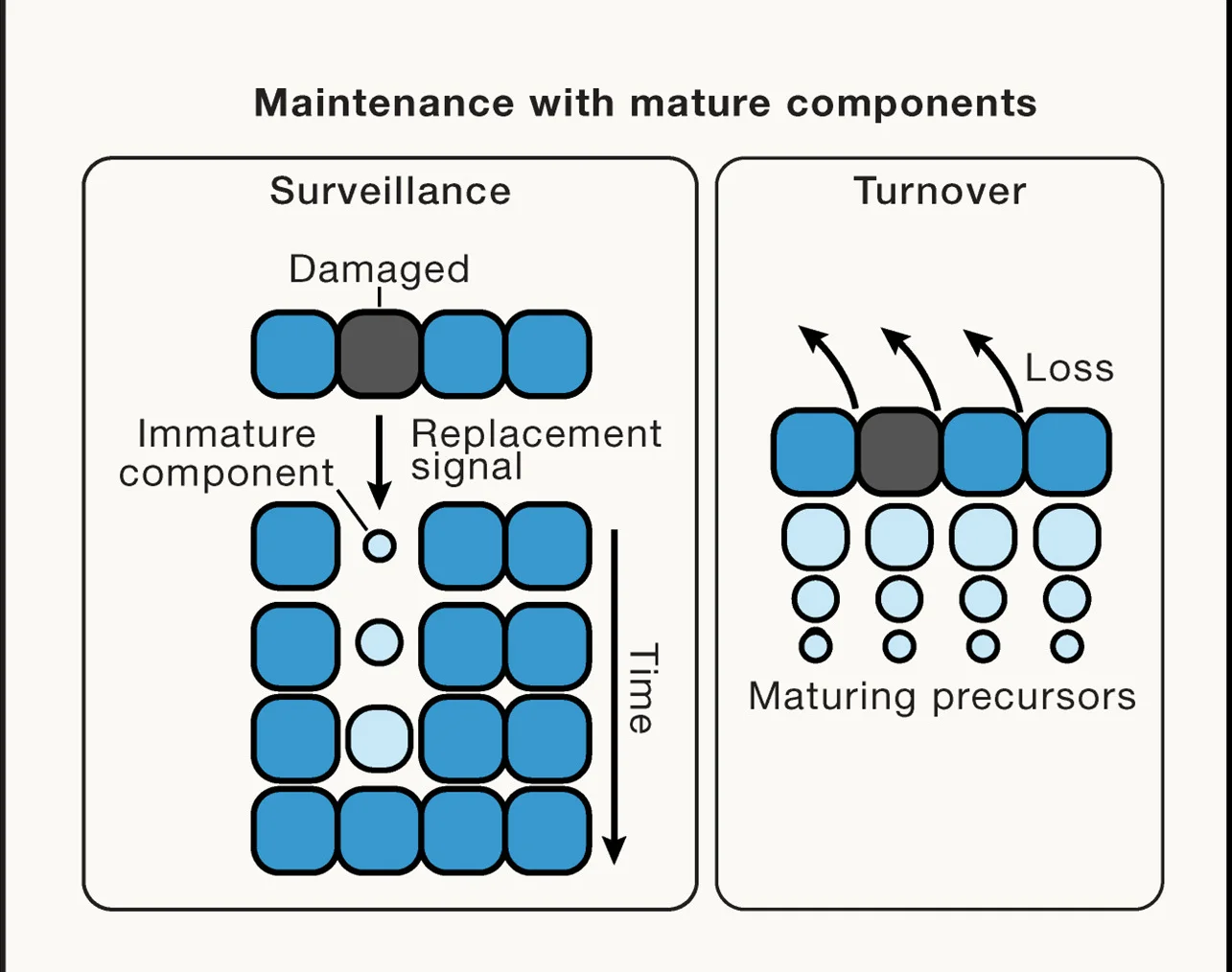 Open access visualization of Workflow, Flowchart, Illustration, Surveillance, Damage